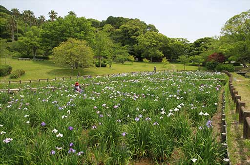 鉤屋造り民家